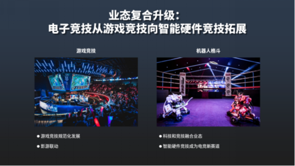 中國文化和科技融合發展戰略研究報告(2021)聚焦電競信息科技